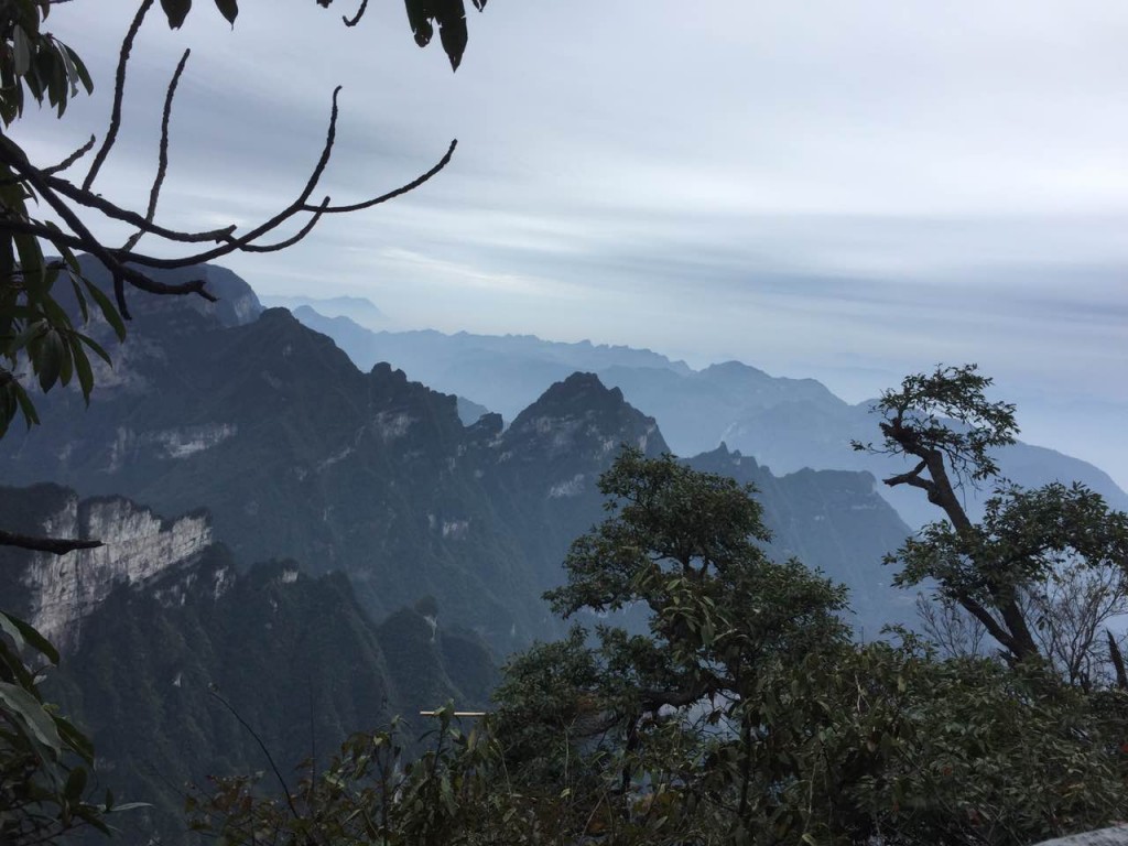 意凱優(yōu)秀員工-魅力張家界之行！